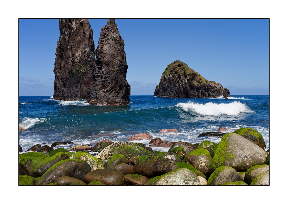 Madeira Ribeira da Janela #20418